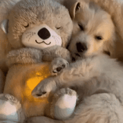 CalPol | Peluche Morbido con Design Unico e Tessuti Traspiranti | Compagno Accogliente per Relax e Comfort 4