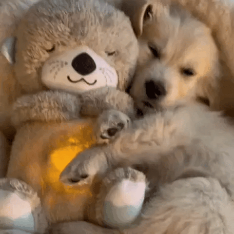 CalPol | Peluche Morbido con Design Unico e Tessuti Traspiranti | Compagno Accogliente per Relax e Comfort 4