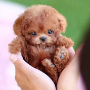 Cane di Peluche Mobile con Movimenti Realistici | Compagno Morbido per Gioco e Coccole 0
