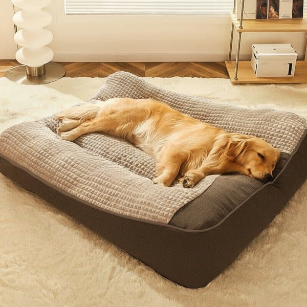Cuccia per Cani con Supporto Ortopedico e Poggiatesta Rialzato | Comfort e Salute per il Tuo Amico a Quattro Zampe 0