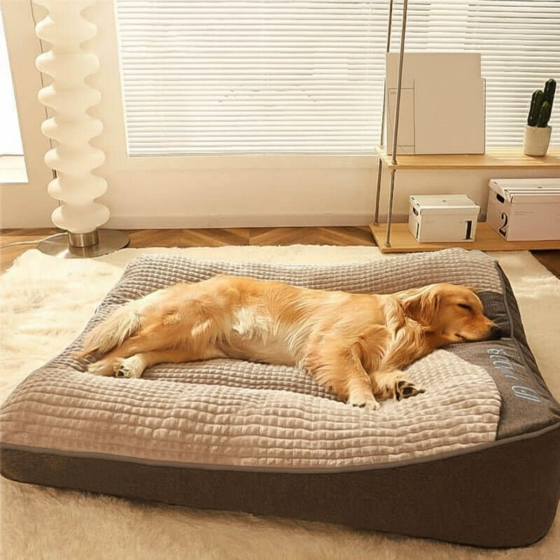 Cuccia per Cani con Supporto Ortopedico e Poggiatesta Rialzato | Comfort e Salute per il Tuo Amico a Quattro Zampe 1
