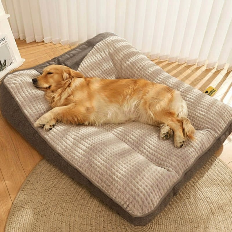 Cuccia per Cani con Supporto Ortopedico e Poggiatesta Rialzato | Comfort e Salute per il Tuo Amico a Quattro Zampe 2