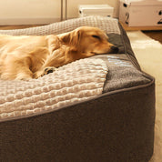 Cuccia per Cani con Supporto Ortopedico e Poggiatesta Rialzato | Comfort e Salute per il Tuo Amico a Quattro Zampe 3