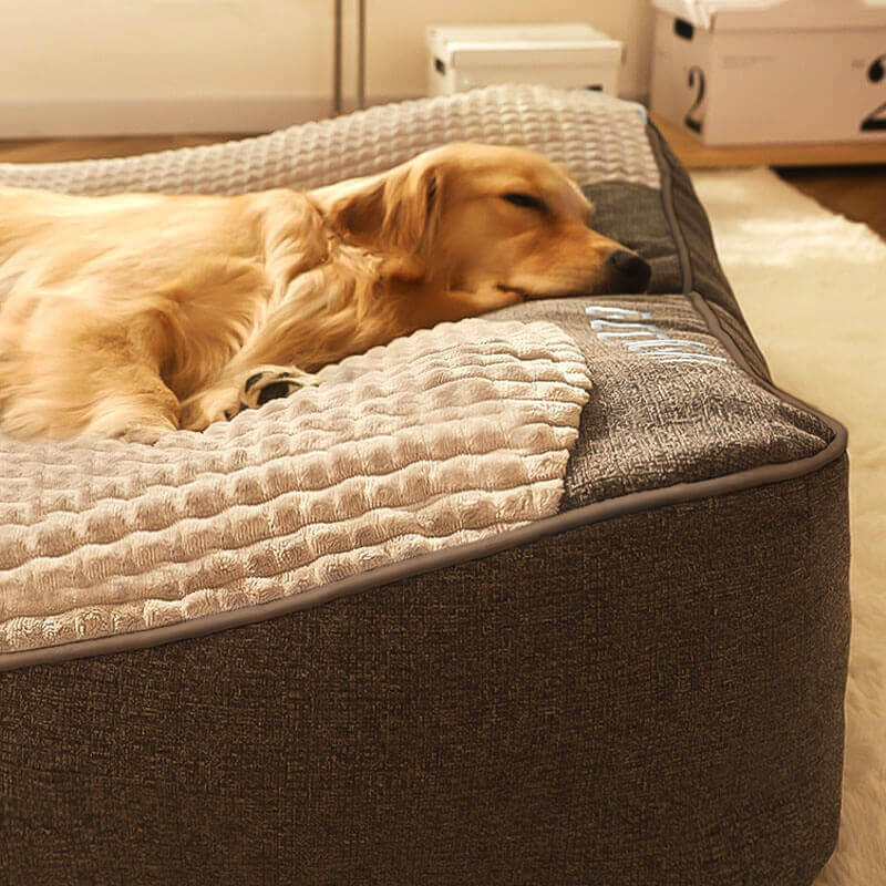 Cuccia per Cani con Supporto Ortopedico e Poggiatesta Rialzato | Comfort e Salute per il Tuo Amico a Quattro Zampe 3