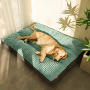 FlauschNest | Cuccia per Cani Ortopedica con Imbottitura Morbida | Comfort e Supporto per Sonni Ristoratori 0