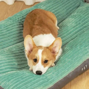 FlauschNest | Cuccia per Cani Ortopedica con Imbottitura Morbida | Comfort e Supporto per Sonni Ristoratori 1