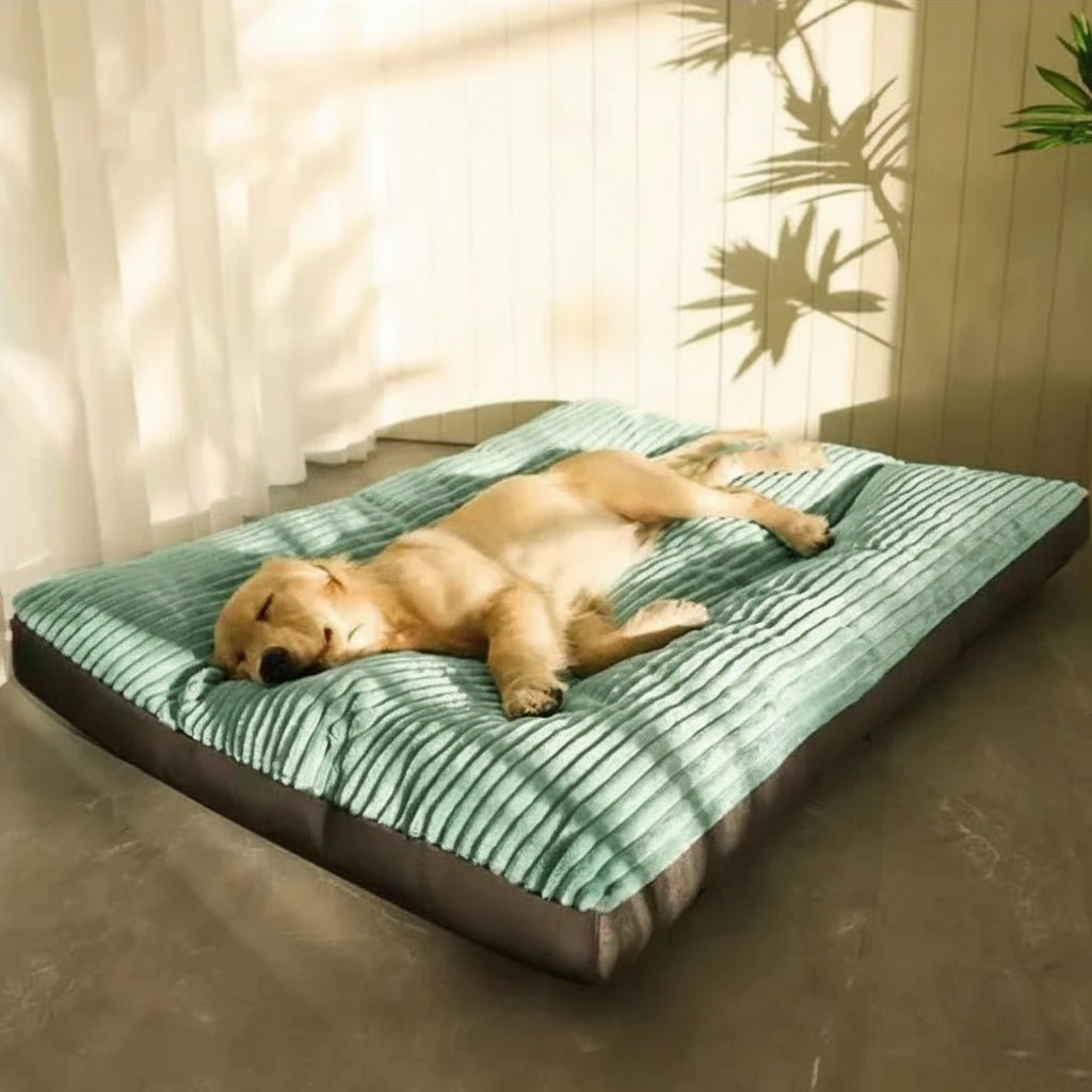 FlauschNest | Cuccia per Cani Ortopedica con Imbottitura Morbida | Comfort e Supporto per Sonni Ristoratori 2