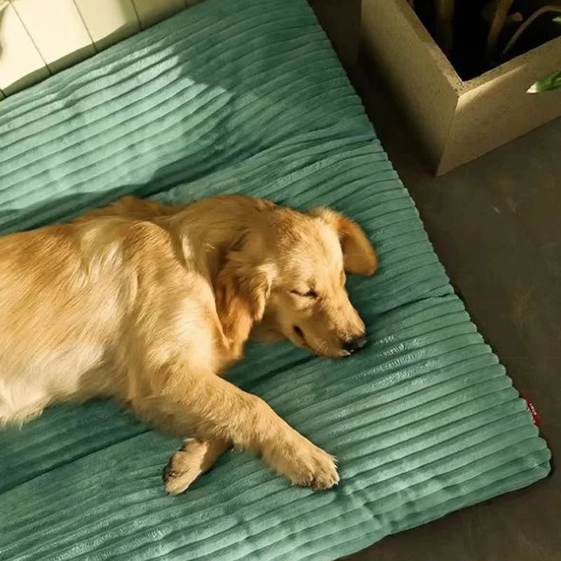 FlauschNest | Cuccia per Cani Ortopedica con Imbottitura Morbida | Comfort e Supporto per Sonni Ristoratori 3