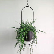 FloraFrame | Appendiabiti da Parete Moderno con Design Minimalista | Porta Piante per Aggiungere Verde agli Interni 0