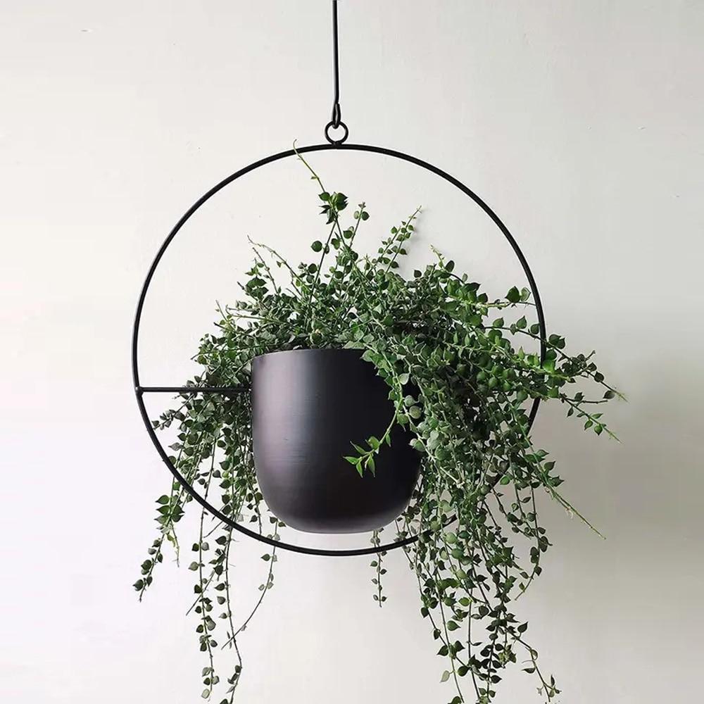 FloraFrame | Appendiabiti da Parete Moderno con Design Minimalista | Porta Piante per Aggiungere Verde agli Interni 2