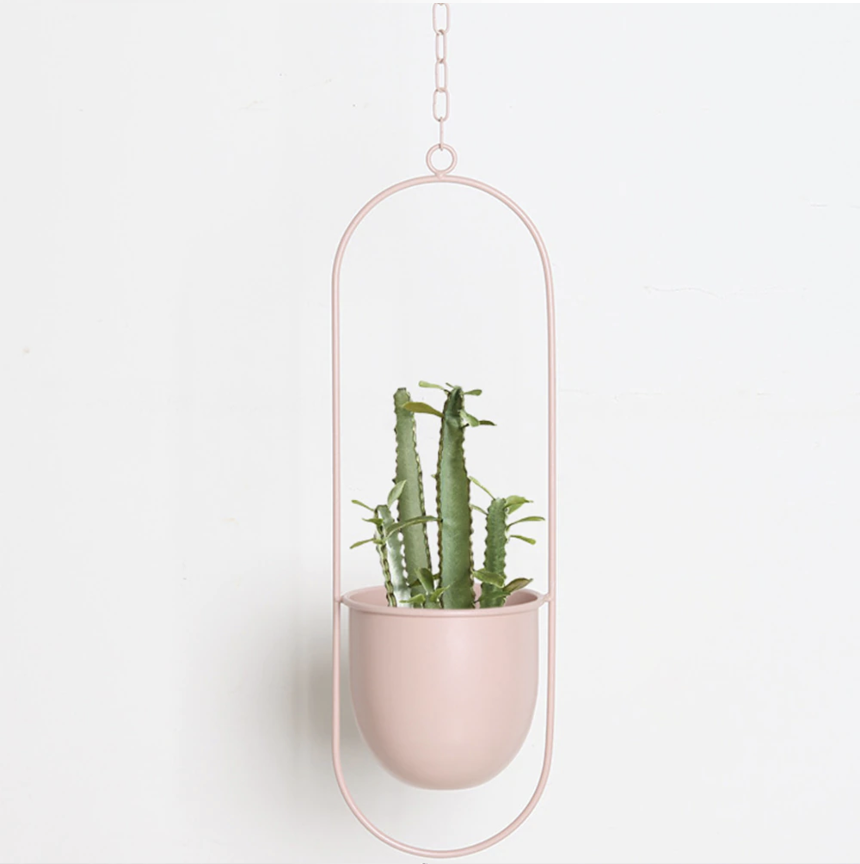 FloraFrame | Appendiabiti da Parete Moderno con Design Minimalista | Porta Piante per Aggiungere Verde agli Interni 3
