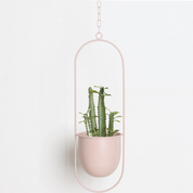 FloraFrame | Appendiabiti da Parete Moderno con Design Minimalista | Porta Piante per Aggiungere Verde agli Interni 3