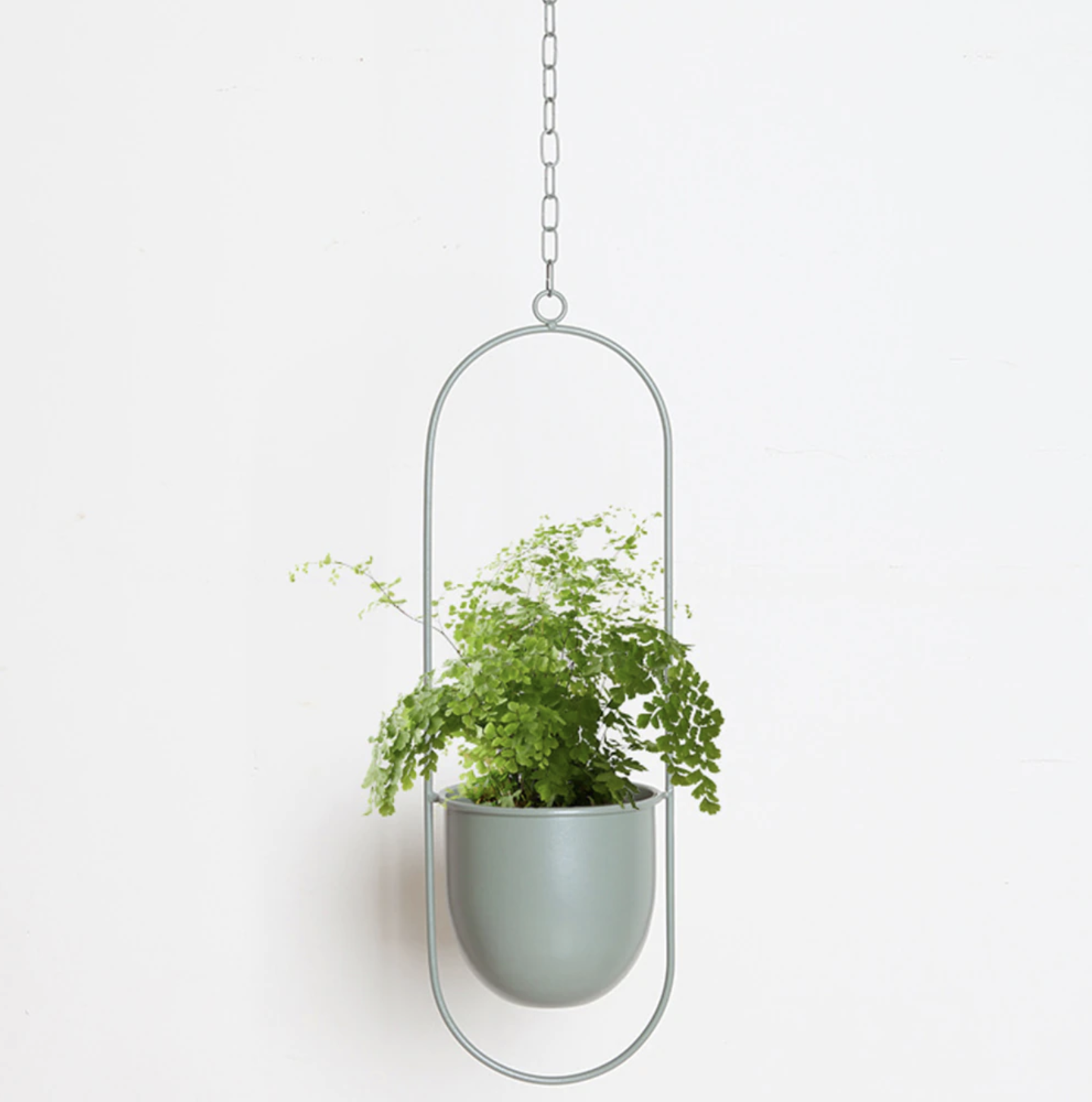 FloraFrame | Appendiabiti da Parete Moderno con Design Minimalista | Porta Piante per Aggiungere Verde agli Interni 4