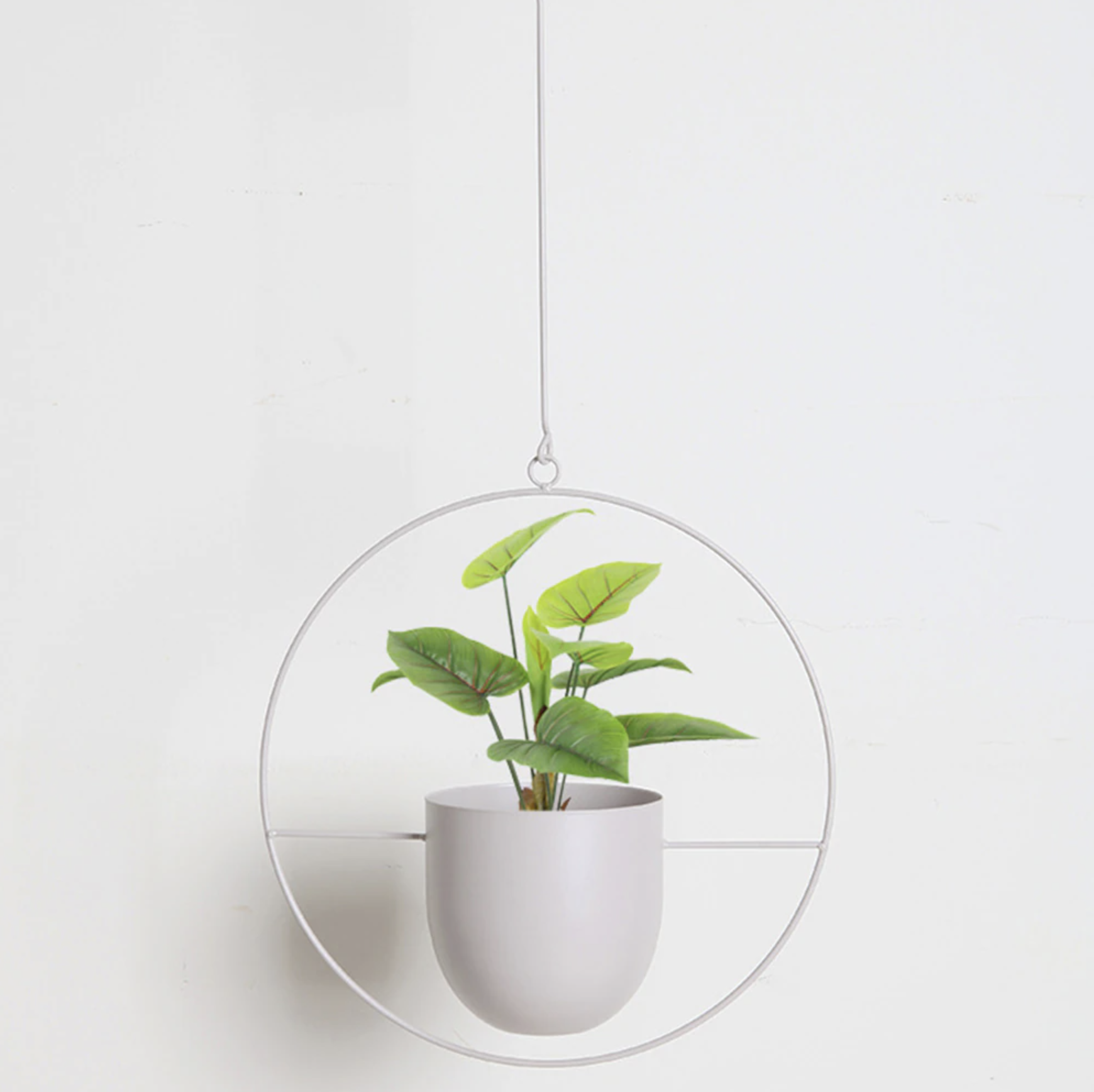 FloraFrame | Appendiabiti da Parete Moderno con Design Minimalista | Porta Piante per Aggiungere Verde agli Interni 5