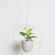 FloraFrame | Appendiabiti da Parete Moderno con Design Minimalista | Porta Piante per Aggiungere Verde agli Interni 5