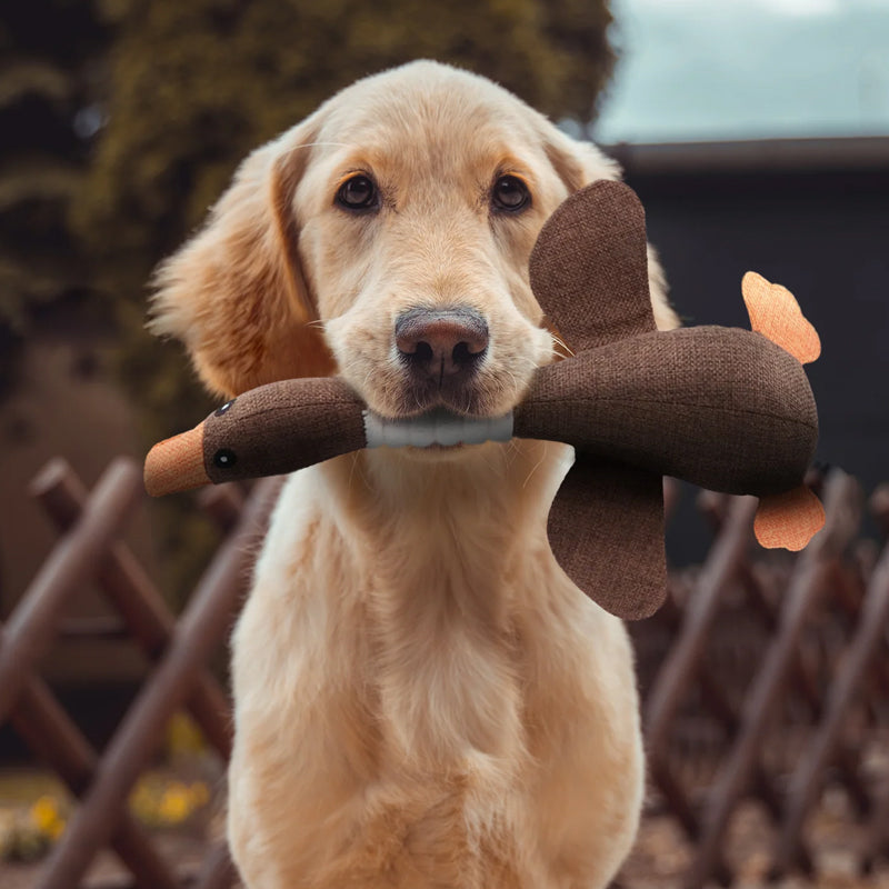 Giocattolo per Cani | Peluche Morbido con Suono per Gioco e Comfort | Sicuro e Adatto a Cani di Tutte le Taglie 1