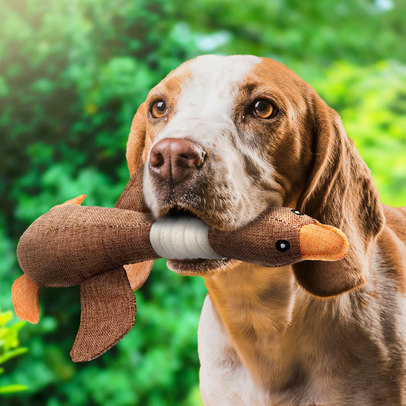 Giocattolo per Cani | Peluche Morbido con Suono per Gioco e Comfort | Sicuro e Adatto a Cani di Tutte le Taglie 2