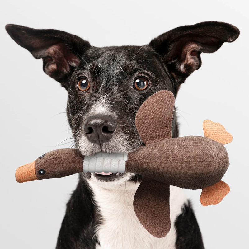 Giocattolo per Cani | Peluche Morbido con Suono per Gioco e Comfort | Sicuro e Adatto a Cani di Tutte le Taglie 4