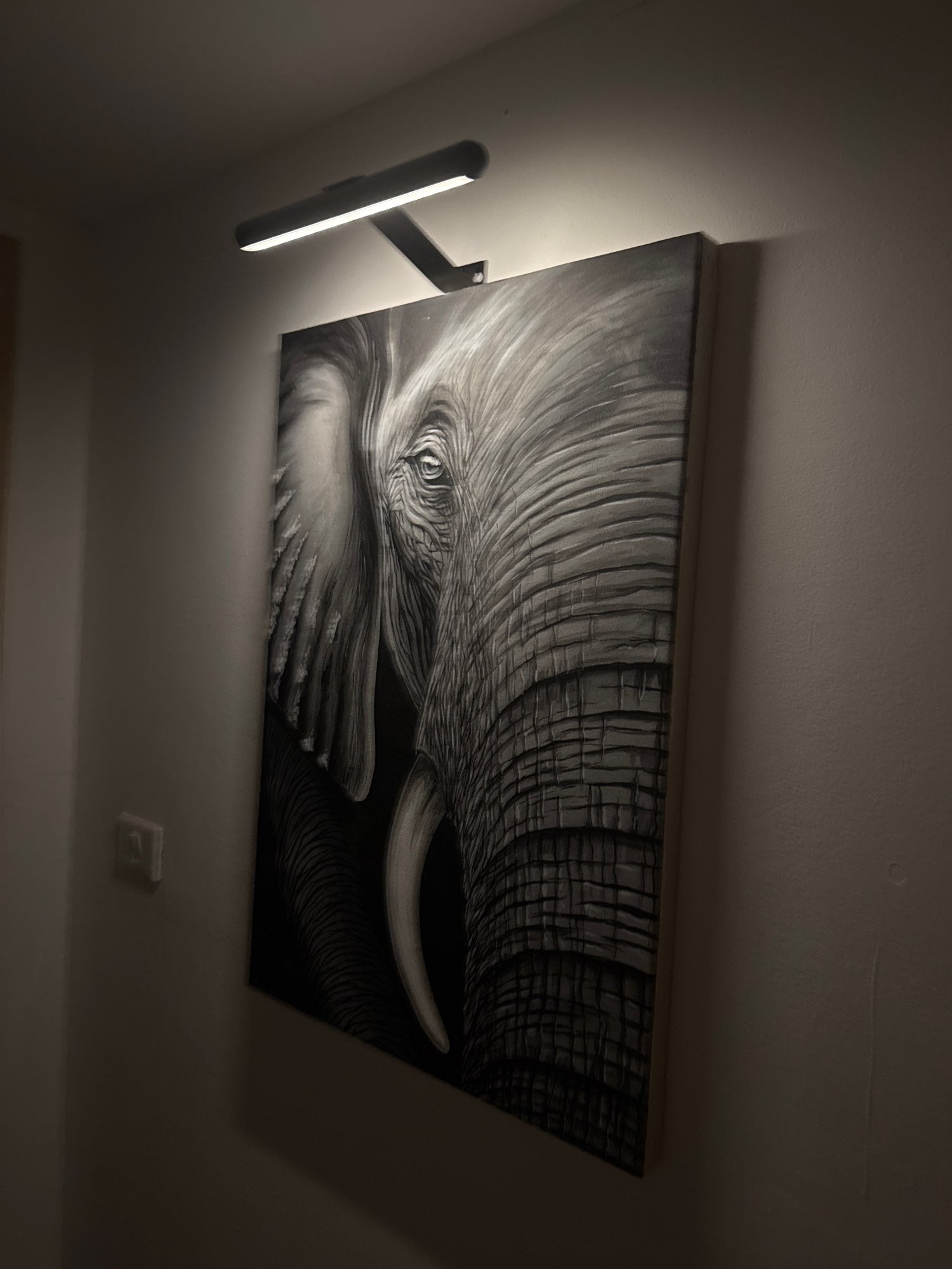 Lampada da Parete Ricaricabile con Testa Rotante a 360° | Design Elegante per Illuminare Quadri e Decorazioni 2