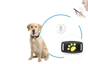 Localizzatore GPS per Gatti | Collare GPS con Aggiornamenti in Tempo Reale | Design Compatto per Sicurezza e Comfort 2