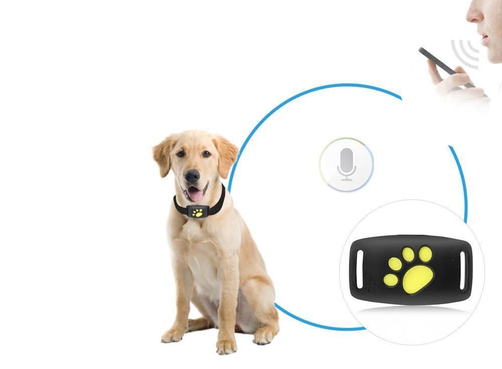 Localizzatore GPS per Gatti | Collare GPS con Aggiornamenti in Tempo Reale | Design Compatto per Sicurezza e Comfort 2