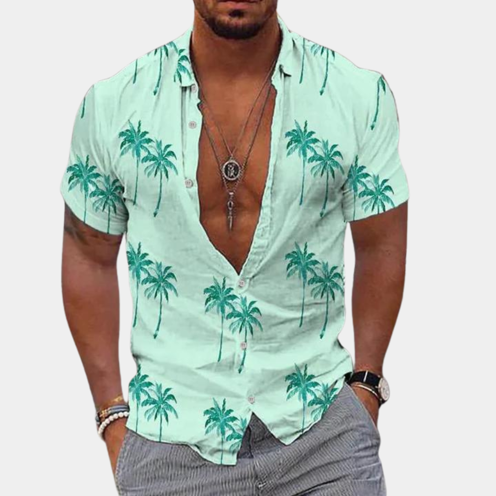 Luca | Elegante Camicia Semplice da Uomo 2